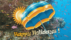 Messages Anglais Happy Holidays Fond Animé 005 