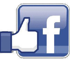 Multi Média Informatique - Internet Facebook 