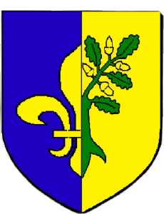 Drapeaux France Départements - Villes 78 MANTES LA JOLIE 