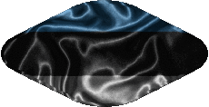 Banderas Europa Estonia Oval 