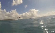 Umorismo -  Fun Trasporti Moto d'acqua Win Fun 