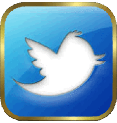 Multi Média Informatique - Internet Twitter 