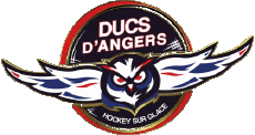 Sports Hockey - Clubs France Ducs d'Angers 