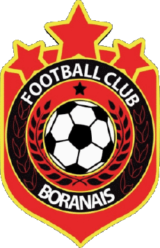 Deportes Fútbol Clubes Francia Hauts-de-France 60 - Oise FC Boran 