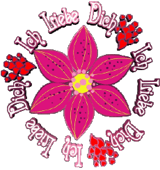 Messages Allemand Ich Liebe Dich 01 