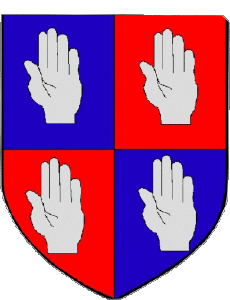 Bandiere Francia Dipartimenti - Città 04 MANOSQUE 