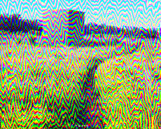 Humor -  Fun GIF Artists Bill Tavis 