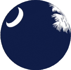 Fahnen Amerika U.S.A - States Carolina South Kugel - Würfel 