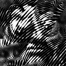 Umorismo -  Fun GIF Artista Bill Tavis 