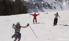 Humor -  Fun Sports Ski Fail Various 