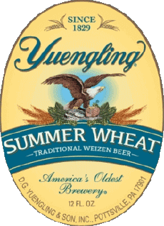 Bevande Birre USA Yuengling 