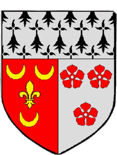 Blason-Drapeaux France Départements - Villes 56 SAINT AVE Blason