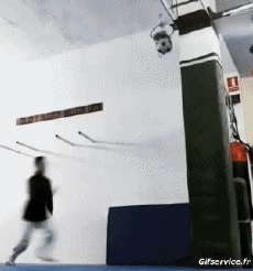 Humor -  Fun Sports Martial Arts Fun Win 