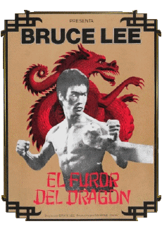 Multimedia V International Bruce Lee El Furor del Dragon logo 