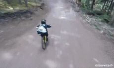 Humor -  Fun Sports Mountain biking Fun - Win 