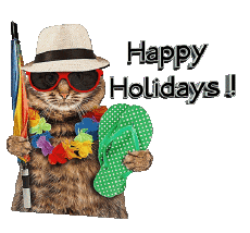 Messages Anglais Happy Holidays Fond Transparent 30 