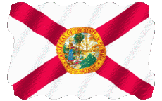 Bandiere America U.S.A - Stati Florida Sventola 