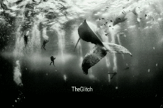 Humor - Fun GIF Artista THE GLITCH 