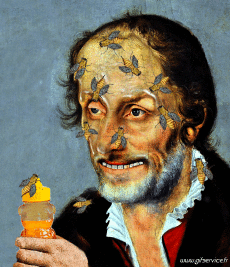 Humor -  Fun Tiere Insekten 01 