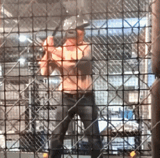 Humor -  Fun Sport Base Ball Serie 01 