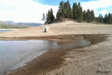 Humor -  Fun Transport Quad Fail 