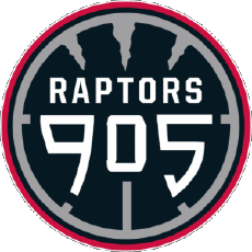 Sports Basketball U.S.A - N B A Gatorade Raptors 905 