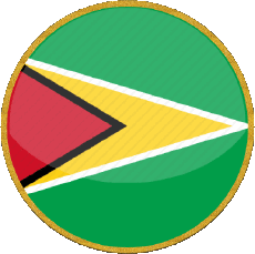 Fahnen Amerika Guyana Runde 