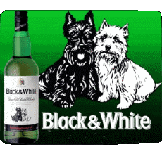 Getränke Whiskey Black and White 