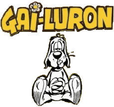 Multi Media Comic Strip Gai Luron 