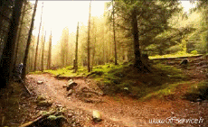 Humour - Fun Sports VTT Fun - Win 