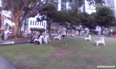 Humor - Fun GENTE Acrobacias Varios Fail 03 