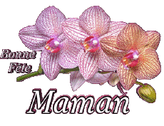 Mensajes Francés Bonne Fête Maman 05 