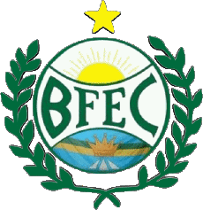 Sports FootBall Club Amériques Logo Brésil Distrito Federal Bosque Formosa EC 