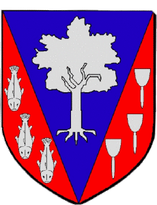 Bandiere Francia Dipartimenti - Città 92 VANVES 