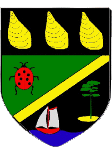 Drapeaux France Départements - Villes 33 GUJAN MESTRAS 