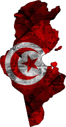 Drapeaux Afrique Tunisie Carte 