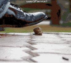 Humor -  Fun Animals Snails 01 