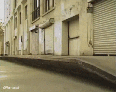 Humor -  Fun Sports Skateboard Free Style Fun - Win 03 