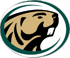 Sportivo N C A A - D1 (National Collegiate Athletic Association) B Bemidji State Beavers 