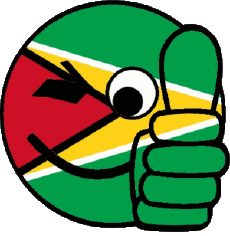 Bandiere America Guyana Faccina - OK 