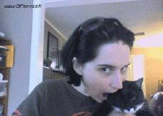 Humour - Fun Animaux Chats Serie 03 