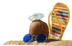 Messages Spanish Felices Vacaciones Transparent Background 14 
