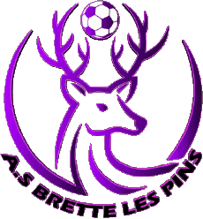 Sports Soccer Club France Pays de la Loire 72  - Sarthe AS Brette les Pins 
