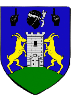 Blason-Drapeaux France Départements - Villes 20 SARTENE Blason