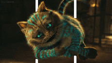 Alice au pays des merveilles, Chat du Cheshire-Humour - Fun 3D Effets 3D - Lignes -  Bandes Alice au pays des merveilles, Chat du Cheshire