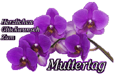 Messages German Herzlichen Glückwunsch zum Muttertag 05 