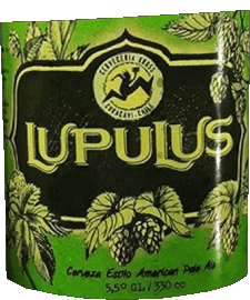 Bebidas Cervezas Chile Kross 