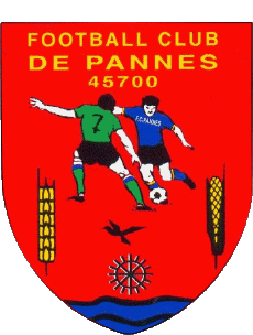Sportivo Calcio  Club Francia Centre-Val de Loire 45 - Loiret FC Pannes 
