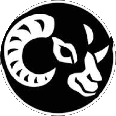 Getränke Bier UK Black Sheep 