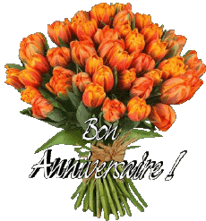 Messagi Francese Bon Anniversaire Floral Sfondo trasparente 012 